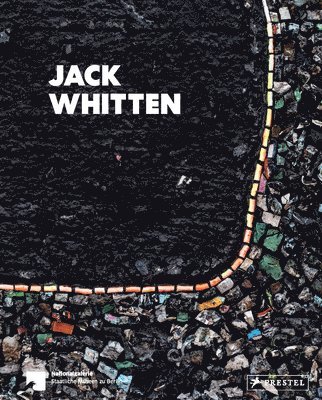 bokomslag Jack Whitten (dt./engl.)