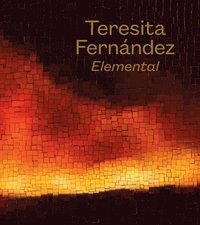 bokomslag Teresita Fernandez