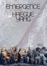 bokomslag Haegue Yang: Emergence