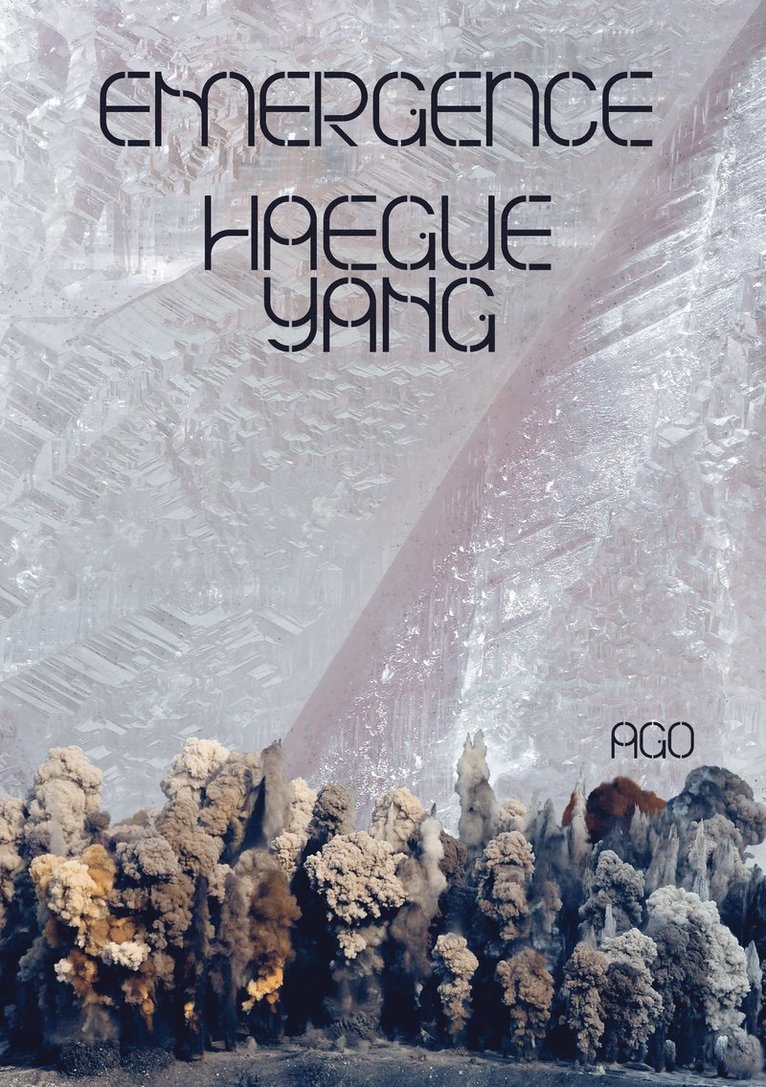 Haegue Yang: Emergence 1