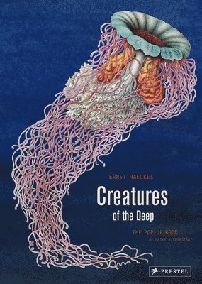 Creatures of the Deep 1