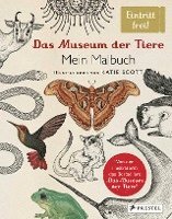 bokomslag Das Museum der Tiere. Mein Malbuch