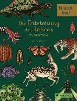 bokomslag Die Entstehung des Lebens. Evolution