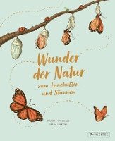 bokomslag Wunder der Natur zum Innehalten und Staunen