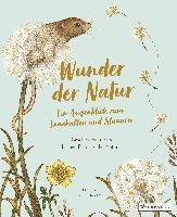 bokomslag Wunder der Natur. Ein Augenblick zum Innehalten und Staunen