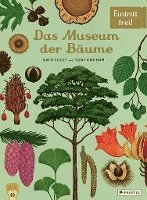 bokomslag Das Museum der Bäume