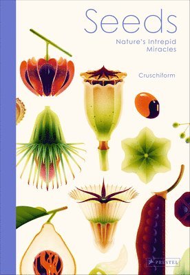 bokomslag Seeds: Nature's Intrepid Miracles