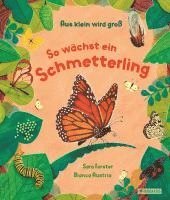 bokomslag Aus klein wird groß. So wächst ein Schmetterling