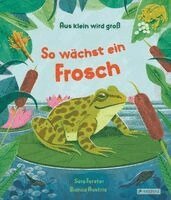 Sara Forster, Bianca Austria - Aus klein wird groß. So wächst ein Frosch, Inbunden