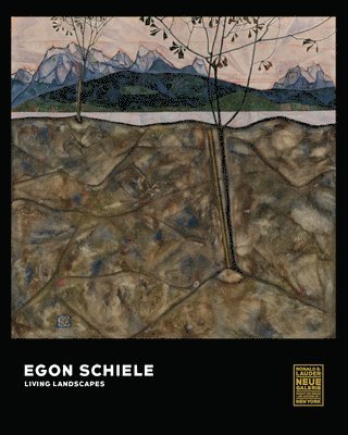 bokomslag Egon Schiele