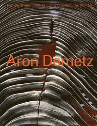 bokomslag Aron Demetz