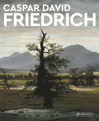 bokomslag Caspar David Friedrich