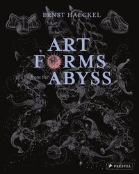 bokomslag Art Forms from the Abyss