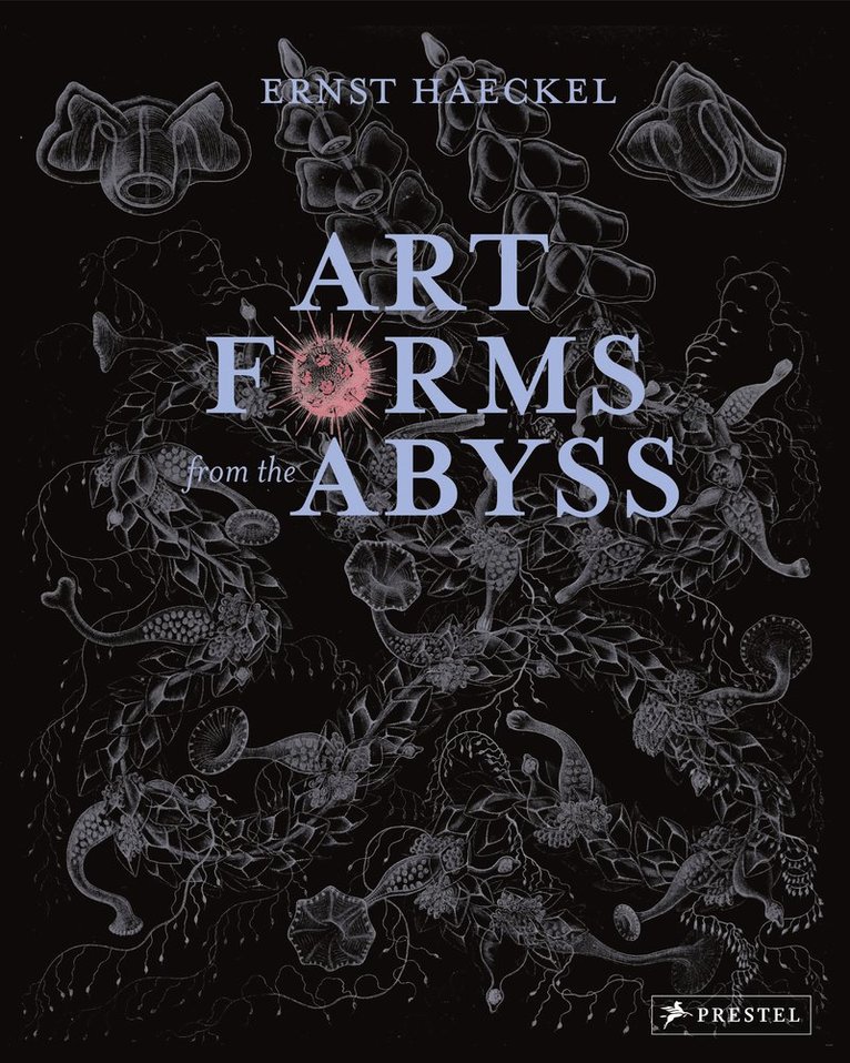 Peter J Le B Williams, Dylan W. Evans, David J Roberts, David Thomas, Peter J. Le B. Williams - Art Forms from the Abyss, Häftad
