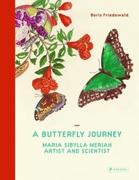 bokomslag A Butterfly Journey