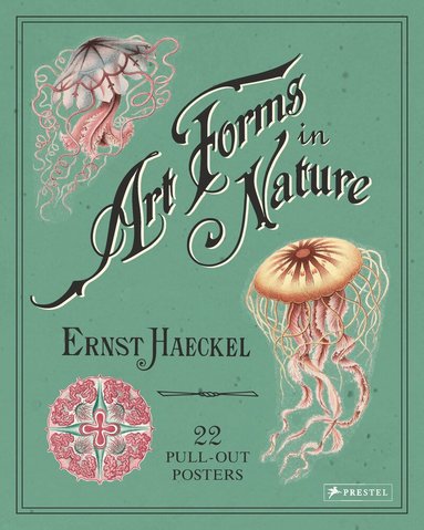 ,Ernst Haeckel, Kira Uthoff - Ernst Haeckel: Art Forms in Nature: 22 Pull-Out Posters, Häftad