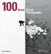 bokomslag 100 Great Street Photographs