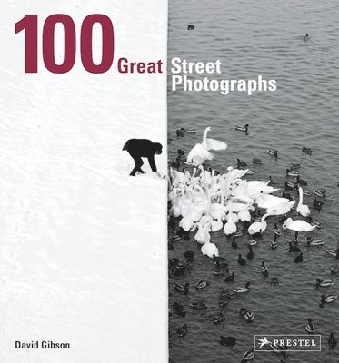 bokomslag 100 Great Street Photographs