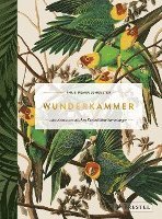 Wunderkammer 1