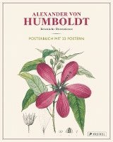 bokomslag Alexander von Humboldt: Botanische Illustrationen. Posterbuch mit 22 Postern