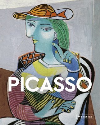 bokomslag Picasso