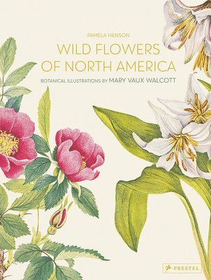 bokomslag Wild Flowers of North America