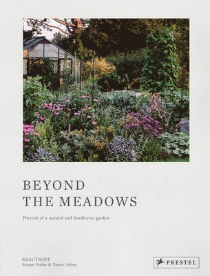 Beyond the Meadows 1