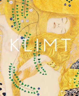 bokomslag Klimt