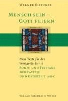 bokomslag Sonn- und Festtage der Fasten- und Osterzeit A B C