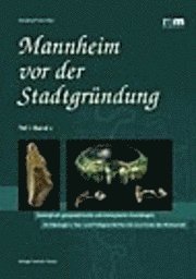 bokomslag Mannheim vor der Stadtgründung. Archäologie I/1