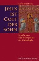 bokomslag Jesus ist Gott der Sohn