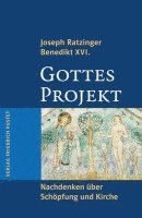 bokomslag Gottes Projekt