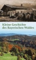bokomslag Kleine Geschichte des Bayerischen Waldes
