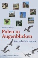 bokomslag Polen in Augenblicken