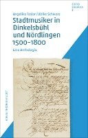 bokomslag Stadtmusiker in Dinkelsbühl und Nördlingen 1500-1800