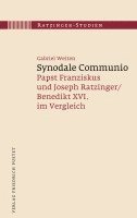 bokomslag Synodale Communio