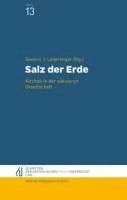Severin Lederhilger - Salz der Erde, Häftad
