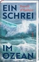 bokomslag Ein Schrei im Ozean