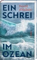 Benoit d`Halluin - Ein Schrei im Ozean, Inbunden