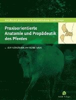bokomslag Praxisorientierte Anatomie und Propädeutik des Pferdes