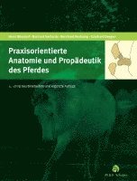 bokomslag Praxisorientierte Anatomie und Propädeutik des Pferdes