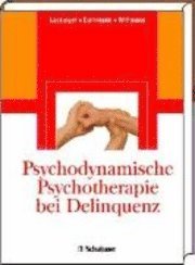 bokomslag Psychodynamische Psychotherapie bei Delinquenz