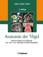 bokomslag Anatomie der Vögel