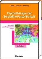 bokomslag Psychotherapie der Borderline-Persönlichkeit