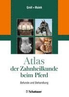 bokomslag Atlas der Zahnheilkunde beim Pferd