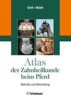 Atlas der Zahnheilkunde beim Pferd