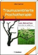 bokomslag Traumazentrierte Psychotherapie