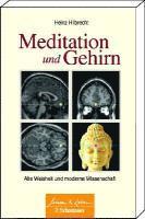 Meditation und Gehirn 1