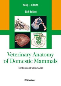 bokomslag Veterinary Anatomy of Domestic Mammals