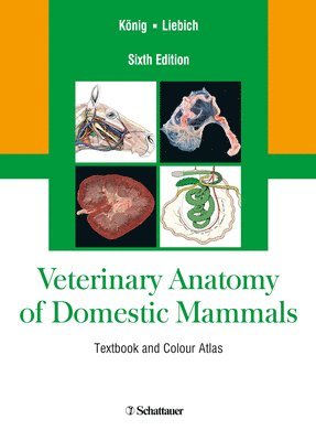 bokomslag Veterinary Anatomy of Domestic Mammals